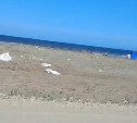 Горы мусора оставили после себя добытчики мойвы в Томаринском районе 