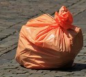 Российский рекорд по количеству мусора поставили сахалинцы