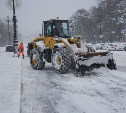 Опубликованы дополнительные планы по расчистке Южно-Сахалинска на 12 января