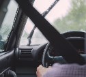 В России просят разрешить сдавать на водительские права без обучения в автошколе