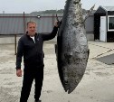 204-килограммового тунца поймали в Макаровском районе