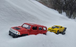 Общество