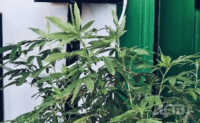 Происшествия