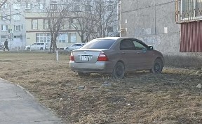Общество
