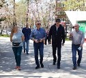 Губернатор и мэр посадили вишню в парке Южно-Сахалинска