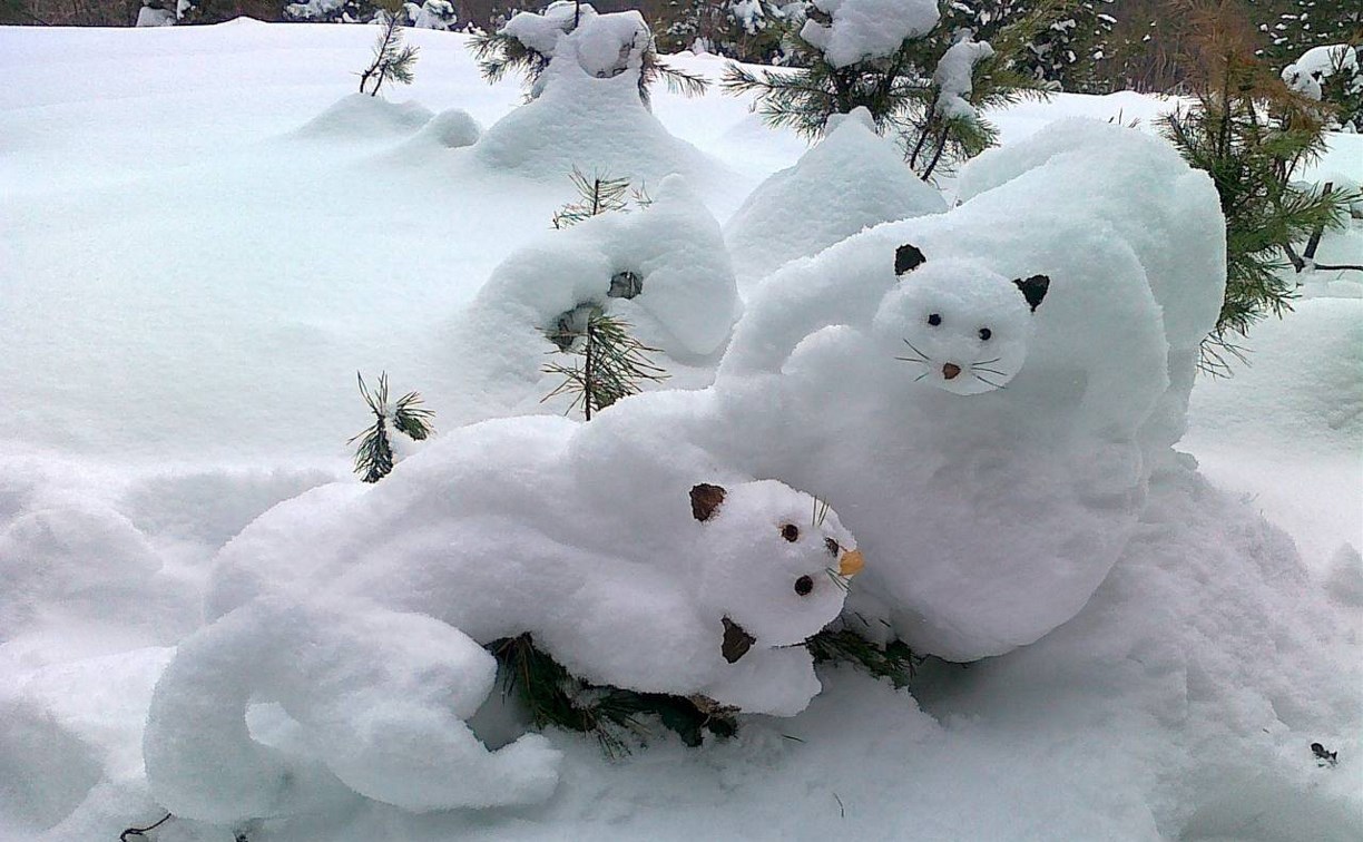 Конкурс снежных фигур пройдет в сахалинском зоопарке