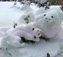 Конкурс снежных фигур пройдет в сахалинском зоопарке