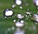 Ночью дождь, днём до 28°: прогноз для Сахалинской области на вторник