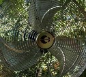 В Южно-Сахалинске резко возрос спрос на вентиляторы из-за жары