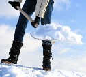 Депутат Госдумы предложила дать должникам по ЖКХ лопаты и отправить убирать снег