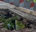 Очевидец: на Сахалине строительный кран провалился на ветхом мосту