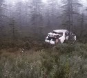 На Сахалине автомобиль после ДТП оказался в лесу