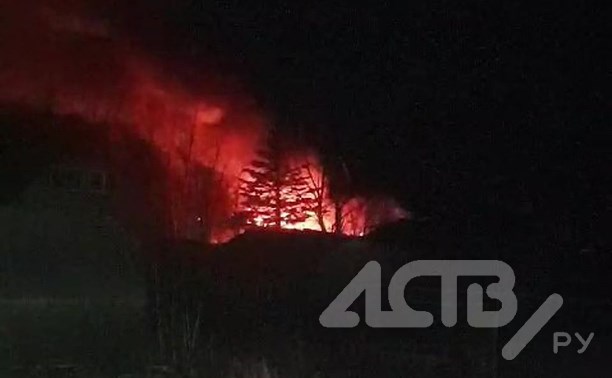 Частный дом и большая ель сгорели в СНТ в Южно-Сахалинске