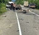 Человек лежит на трассе: в Поронайском районе произошло страшное ДТП