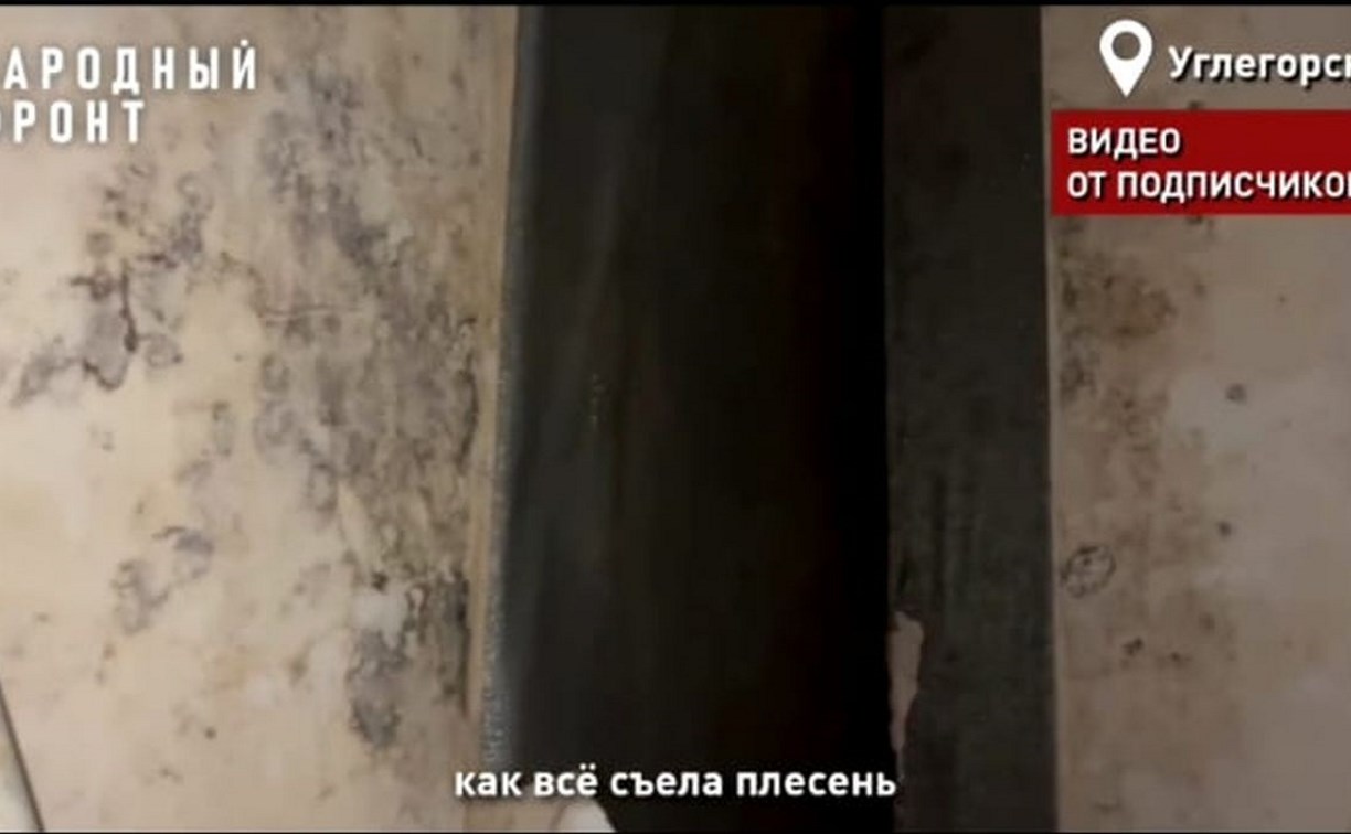 В Углегорске сирота несколько лет живёт в заросшей плесенью квартире