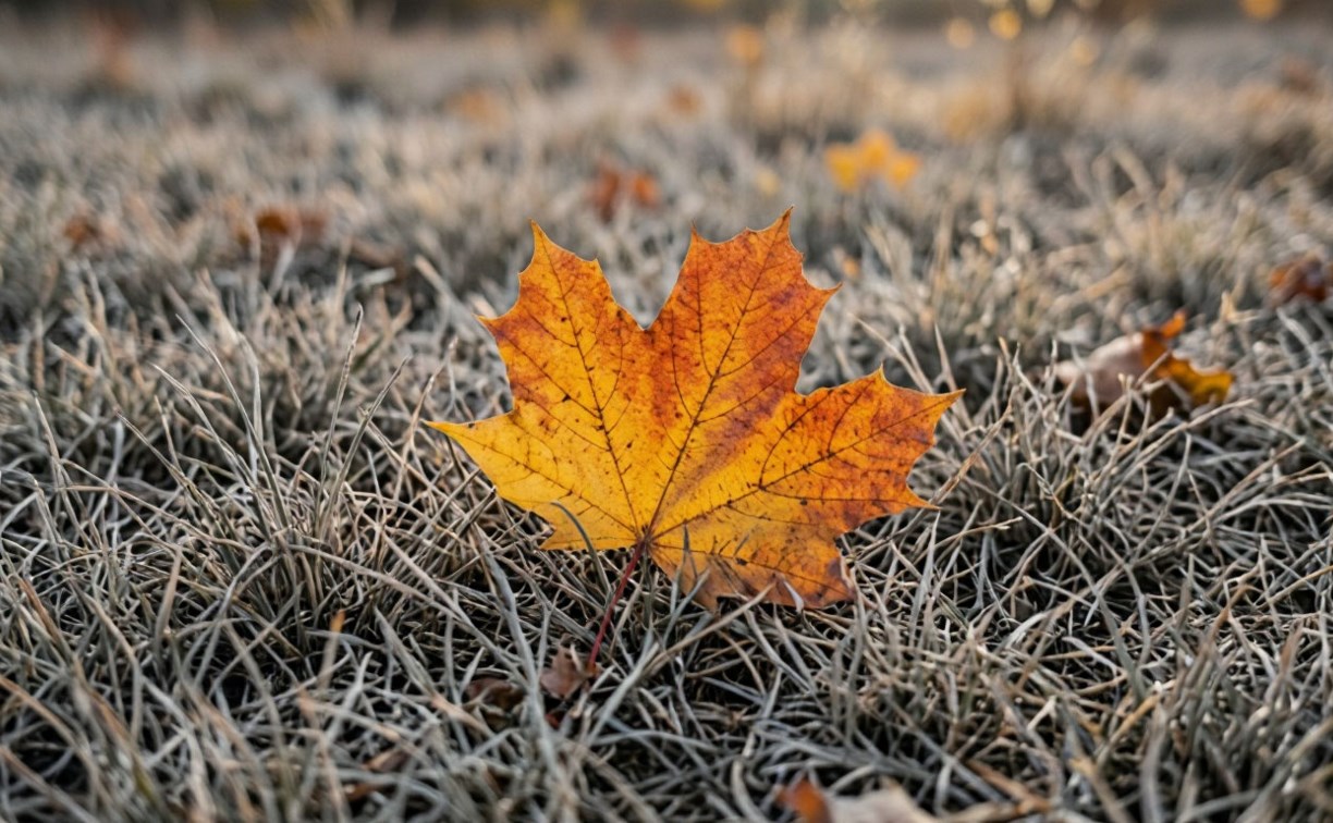 На Сахалине мокрый снег и дожди, а на Курилах до +12 °C: прогноз погоды для региона на 17 октября