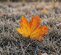 На Сахалине мокрый снег и дожди, а на Курилах до +12 °C: прогноз погоды для региона на 17 октября