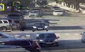 Происшествия