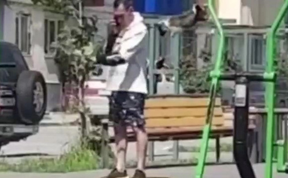 Южносахалинец перед подростками "жонглировал" собакой на детской площадке