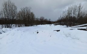 Происшествия
