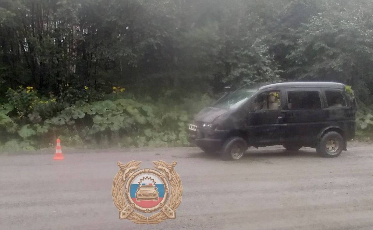 Два ребёнка пострадали в ДТП в Александровск-Сахалинском районе