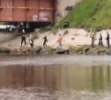 "Когда ж вы нажрётесь?": очевидец снял видео массовой рыбалки на Таранае
