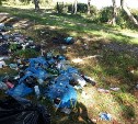 Активисты очистили часть побережья озера Изменчивое от мусора 