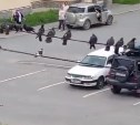 Сотни голубей, сидящих на проводах во дворе дома в Долинске, напрягают людей