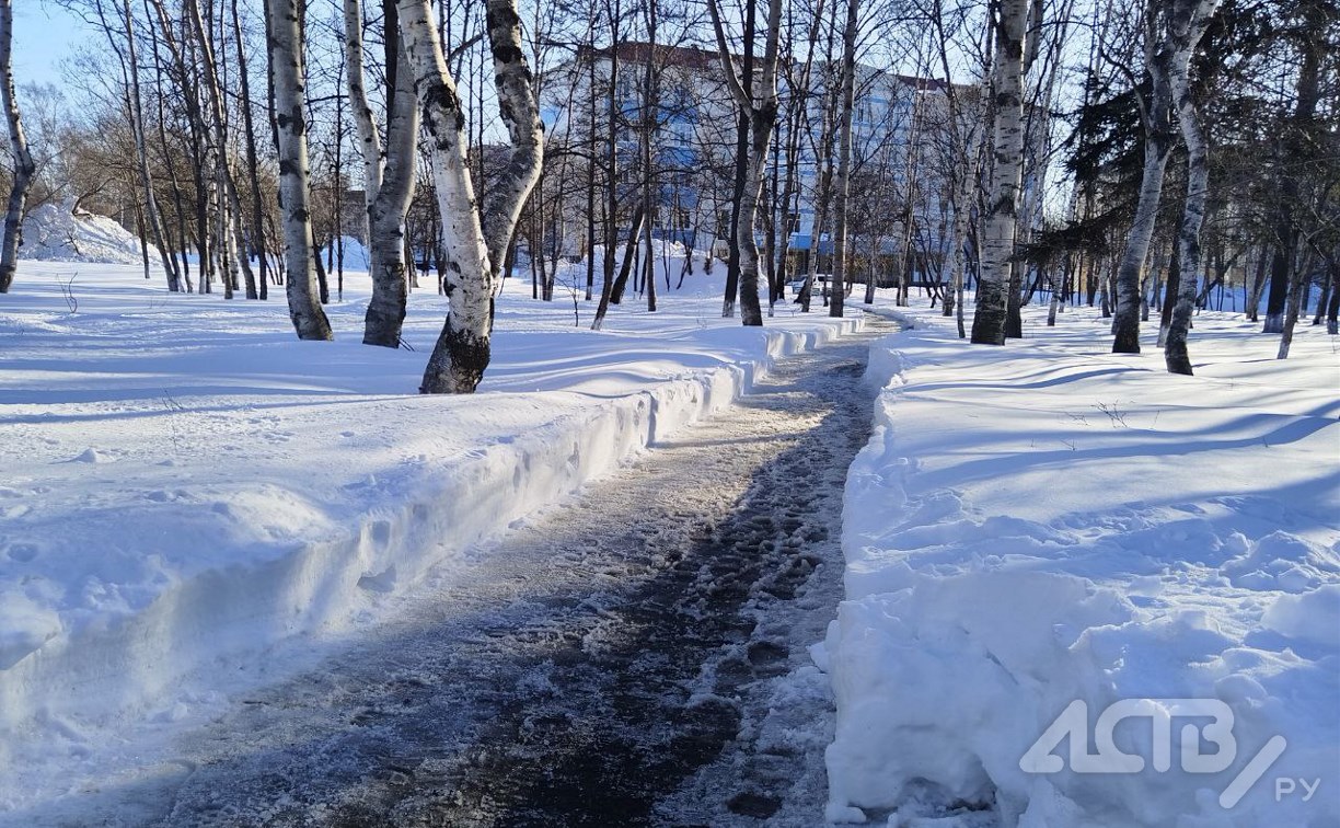 Осадки во второй половине дня: актуальный прогноз погоды на юге Сахалина 19 марта