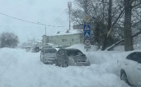 Общество