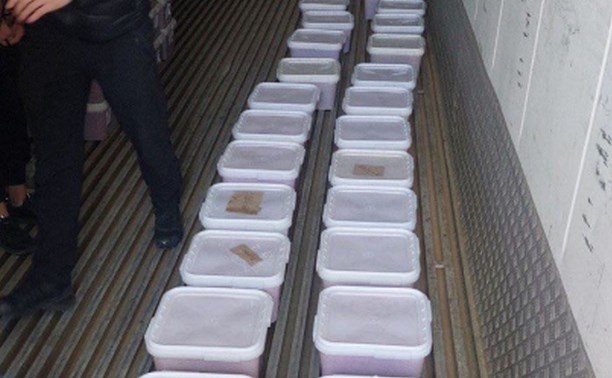 Свыше 300 кг нелегальной икры обнаружили в контейнерах на Сахалине