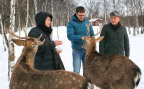 Общество