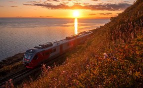 Общество