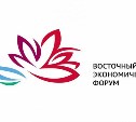 Сахалинскую молодежь приглашают стать волонтерами Восточного экономического форума