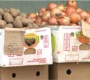 Зараженные псевдотуберкулезом китайские овощи завезли на Сахалин из Приморья