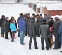 Сохранить березовую рощу пообещал мэр жителям 14 мкр Южно-Сахалинска