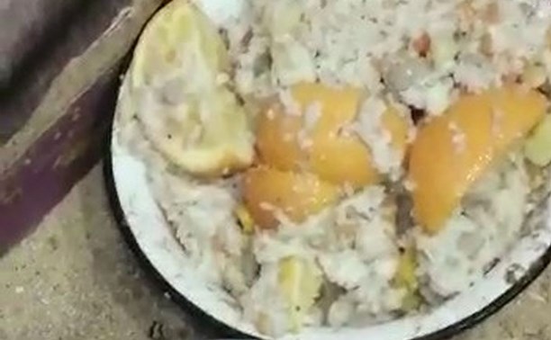 Сахалинка сняла на видео, как бездомных собак в приюте кормят апельсинами