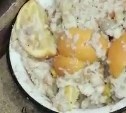 Сахалинка сняла на видео, как бездомных собак в приюте кормят апельсинами