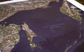 Общество