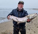 Сахалинец поймал 10-килограммовую рыбину, которую нельзя съесть