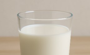 Общество