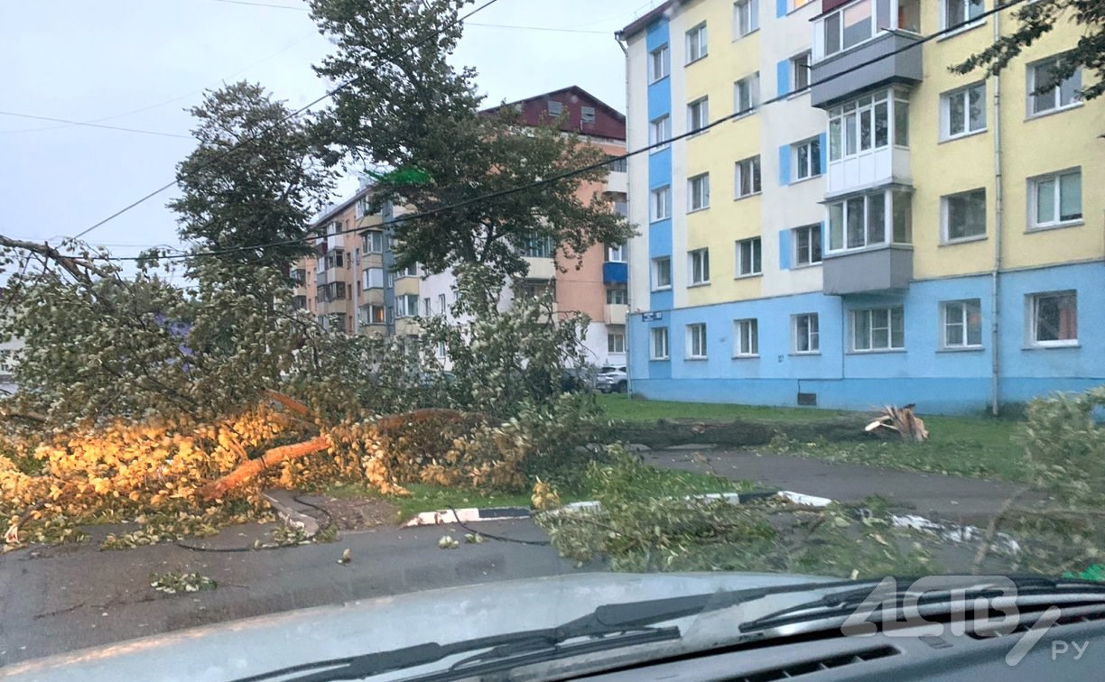 В Томари всем школьникам разрешили остаться дома, в Поронайске - только младшеклассникам