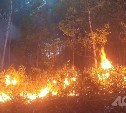 Более 9 часов ушло на ликвидацию природного пожара на юге Сахалина