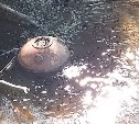 Морскую мину нашли в ручье в районе Троицкого