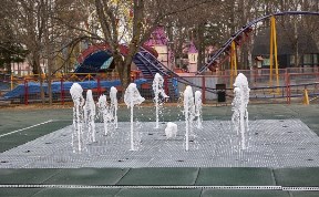 Общество