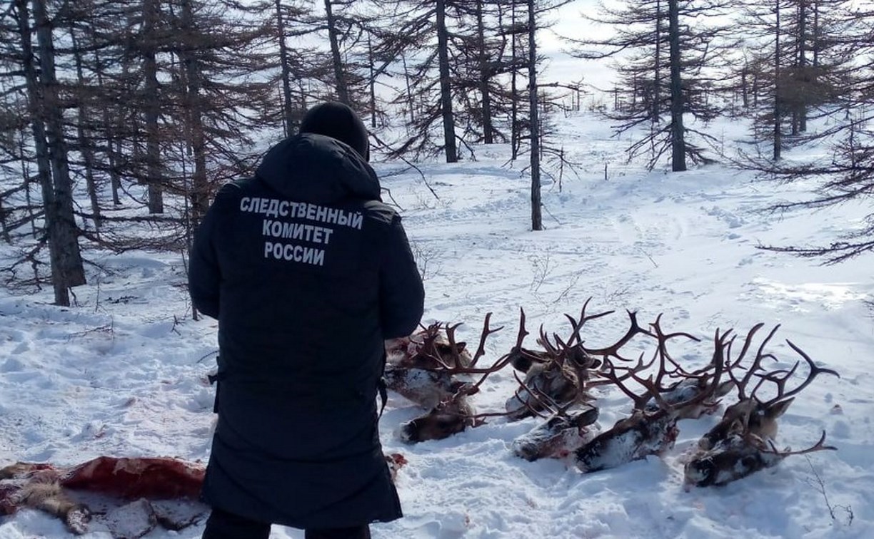 Задержанному по подозрению в убийстве стада оленей на Сахалине предъявили обвинение