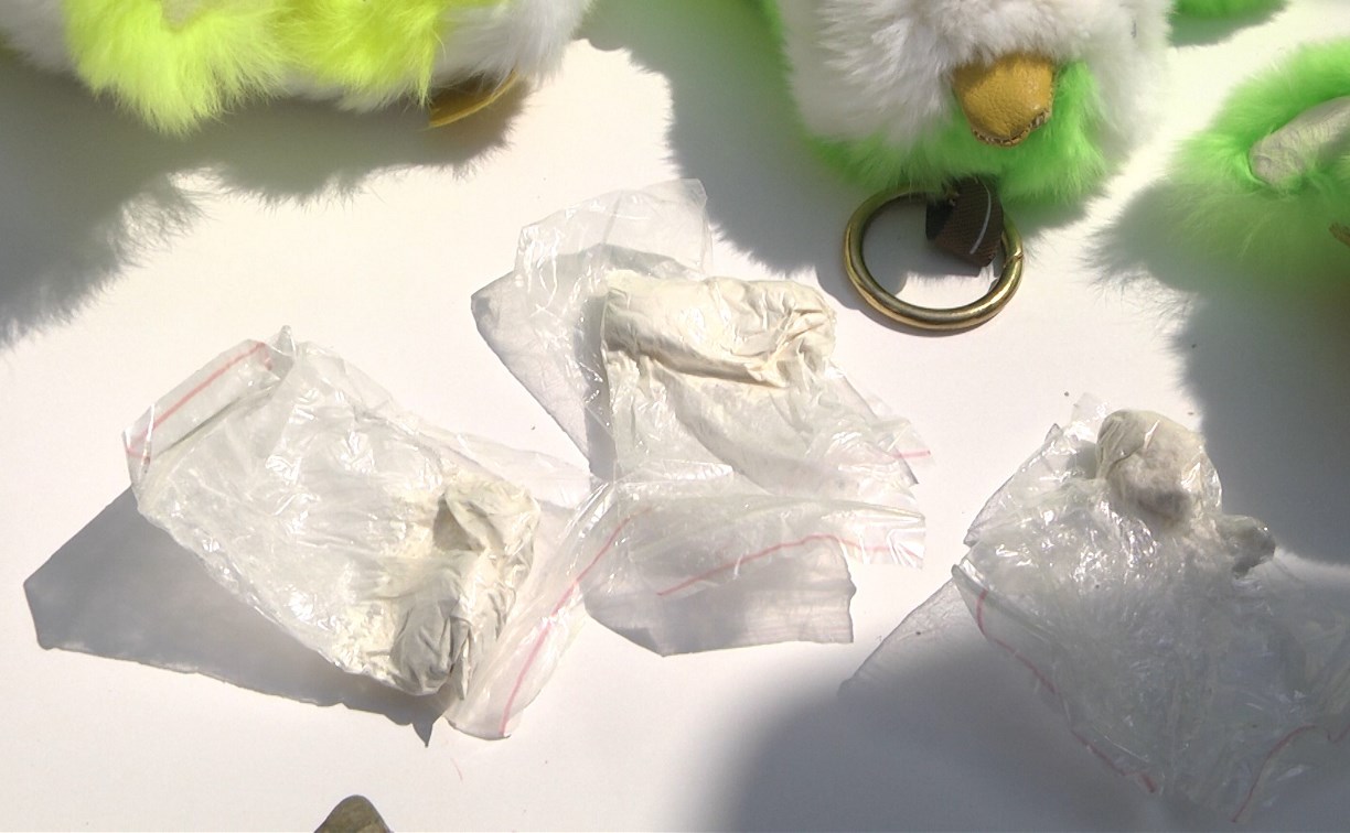 Сахалинские полицейские нашли наркотики в плюшевых игрушках