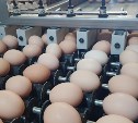 Антикризисная стратегия: власти приняли решение о санации сахалинской птицефабрики "Островной"