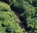 Пенсионерку вторые сутки ищут в труднопроходимом лесу под Анивой