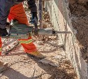 В Госдуме предлагают сделать бесплатным обучение по рабочим специальностям